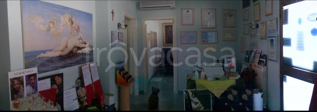 negozio in vendita a Vasto