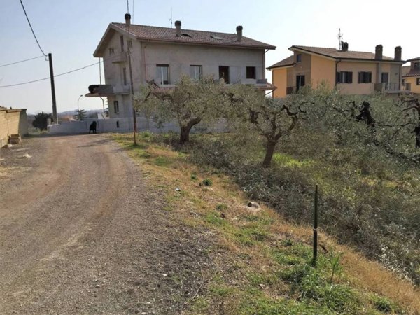 terreno agricolo in vendita a Vasto in zona San Lorenzo