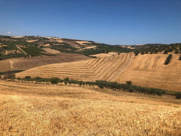 terreno agricolo in vendita a Vasto