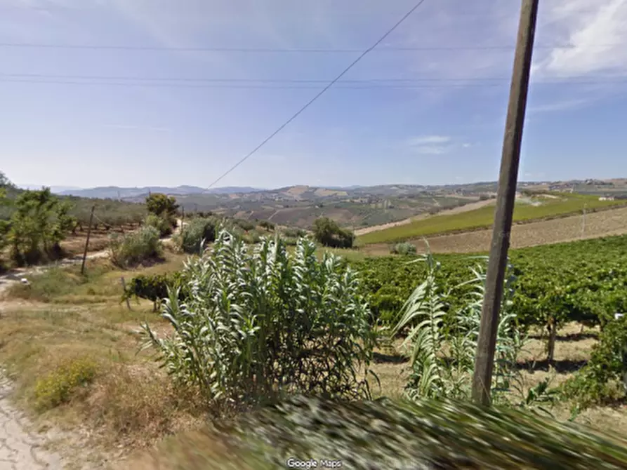 terreno agricolo in vendita a Vasto
