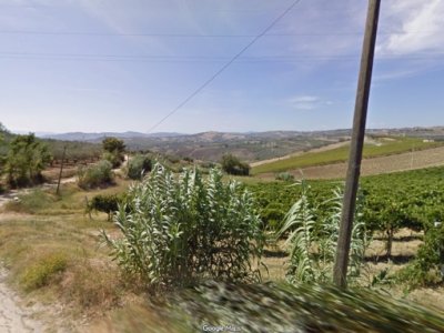 terreno agricolo in vendita a Vasto