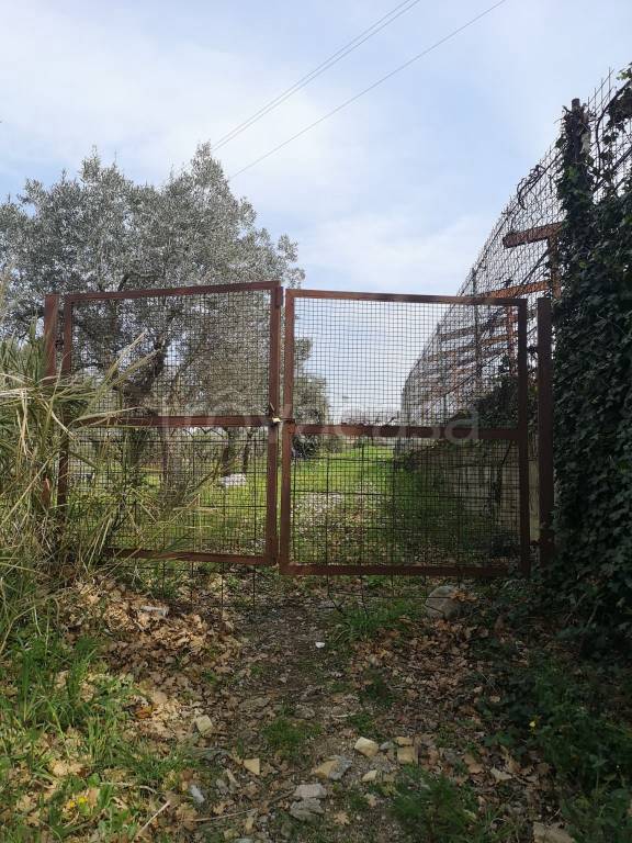 terreno agricolo in vendita a Vasto