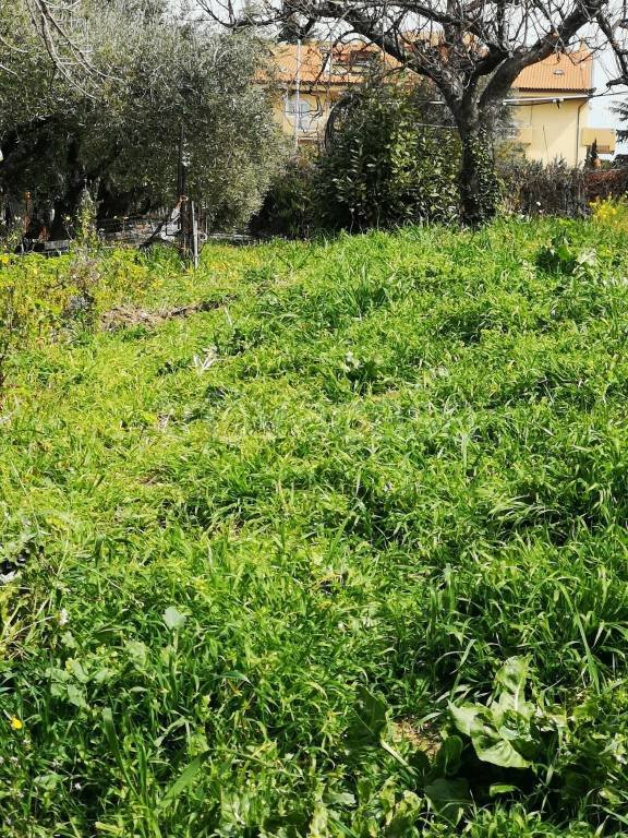 terreno agricolo in vendita a Vasto
