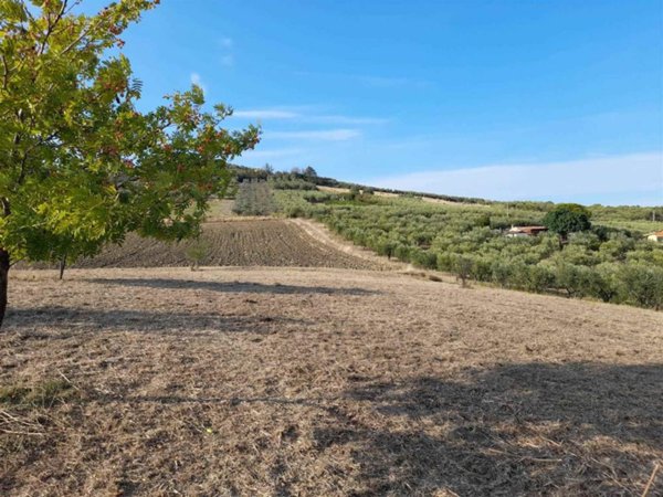 terreno agricolo in vendita a Vasto