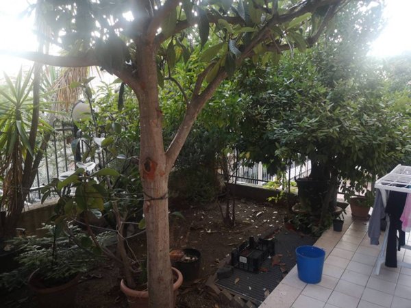 casa indipendente in vendita a Vasto