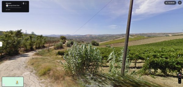 terreno agricolo in vendita a Vasto
