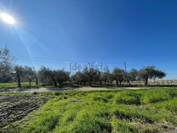 terreno agricolo in vendita a Vasto