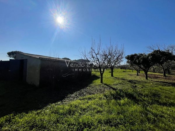terreno agricolo in vendita a Vasto