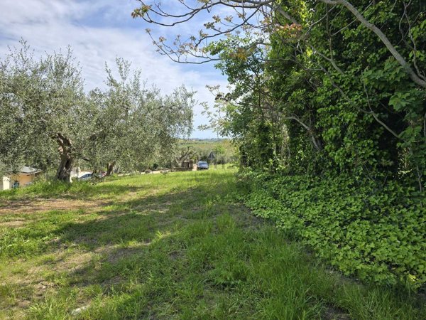 terreno agricolo in vendita a Vasto