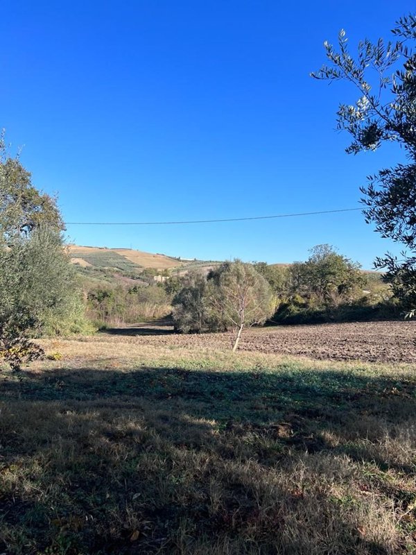 terreno agricolo in vendita a Vasto