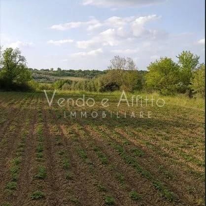 terreno agricolo in vendita a Vasto