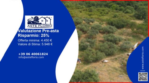 terreno agricolo in vendita a Vasto