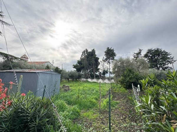terreno agricolo in vendita a Vasto in zona Pagliarelli