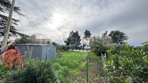 terreno agricolo in vendita a Vasto in zona Pagliarelli