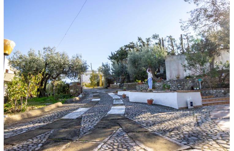 terreno agricolo in vendita a Vasto