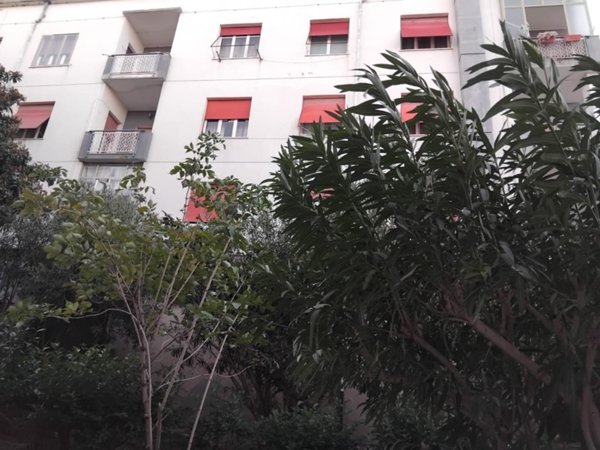 appartamento in vendita a Vasto