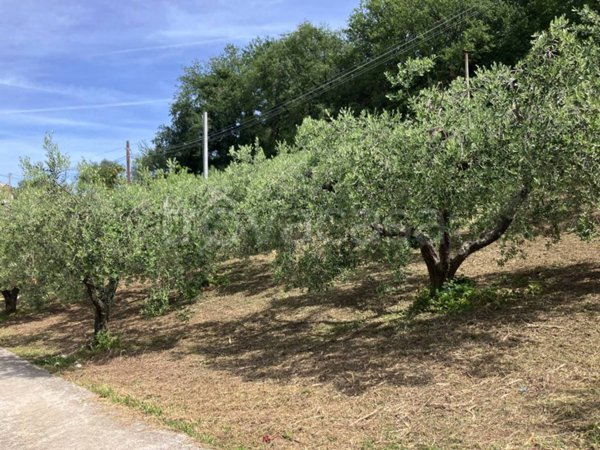 terreno agricolo in vendita a Vasto
