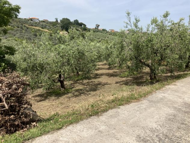 terreno agricolo in vendita a Vasto