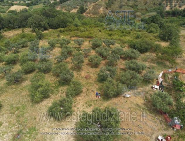terreno agricolo in vendita a Vasto