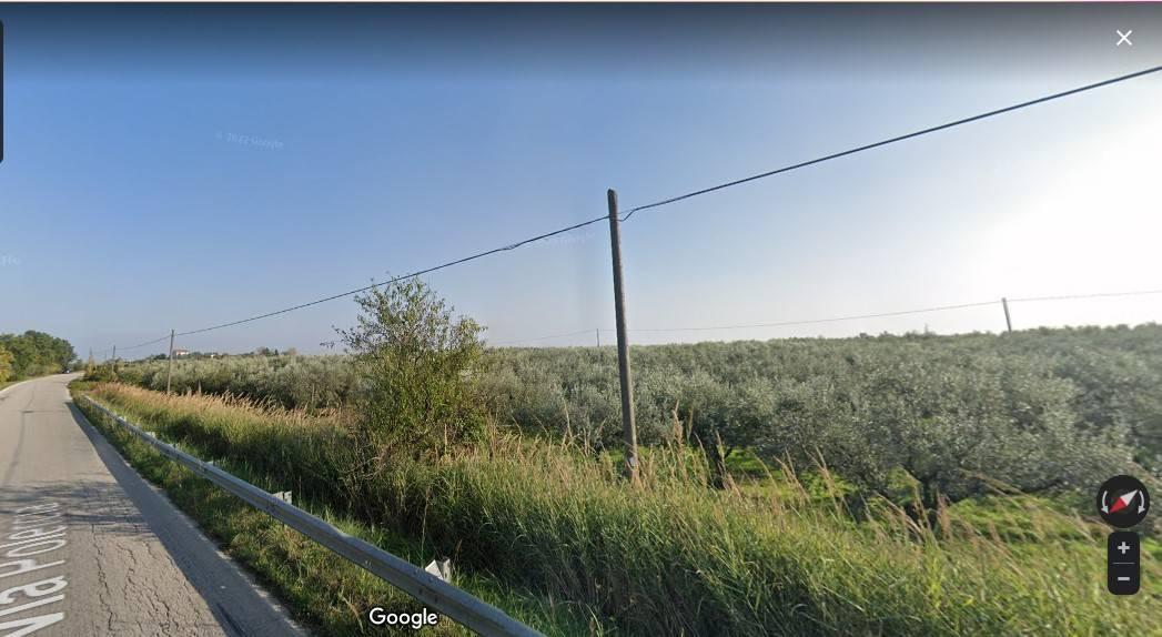 terreno agricolo in vendita a Vasto