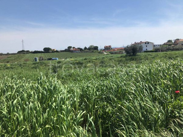 terreno agricolo in vendita a Vasto
