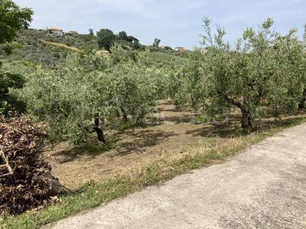 terreno agricolo in vendita a Vasto
