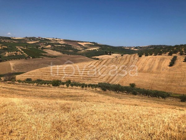 terreno agricolo in vendita a Vasto