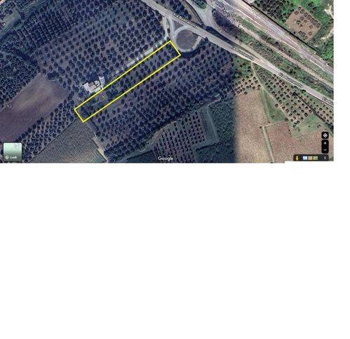 terreno agricolo in vendita a Vasto in zona Marina