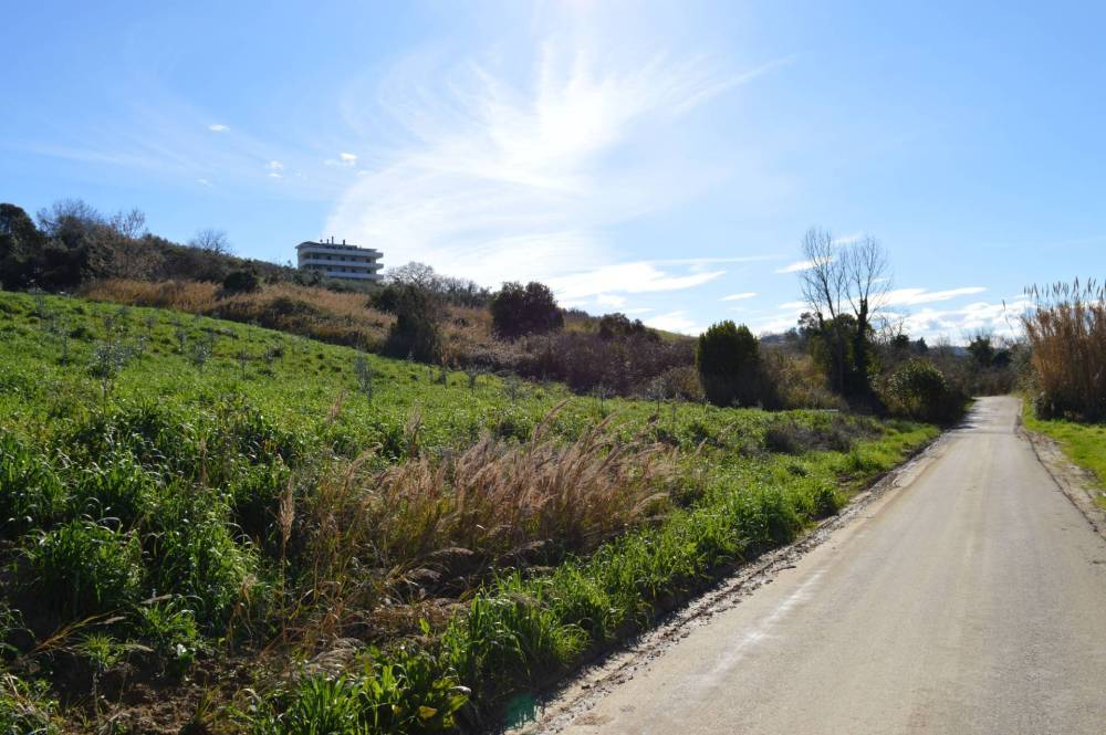 terreno agricolo in vendita a Vasto