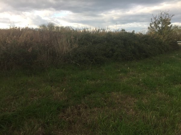 terreno edificabile in vendita a Vasto