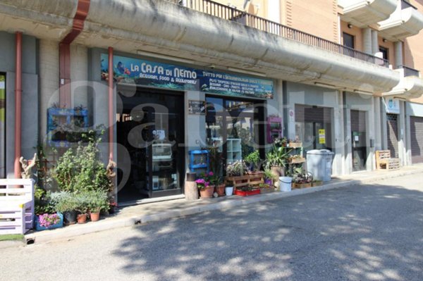 negozio in vendita a Vasto