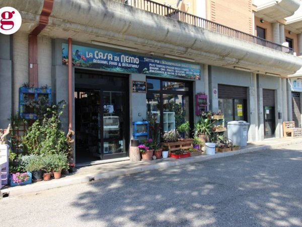 negozio in vendita a Vasto in zona Marina