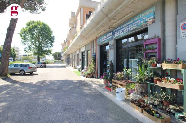 negozio in vendita a Vasto in zona Marina