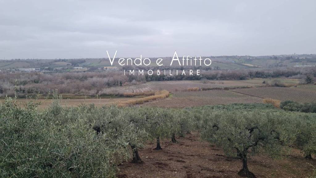 azienda agricola in vendita a Vasto
