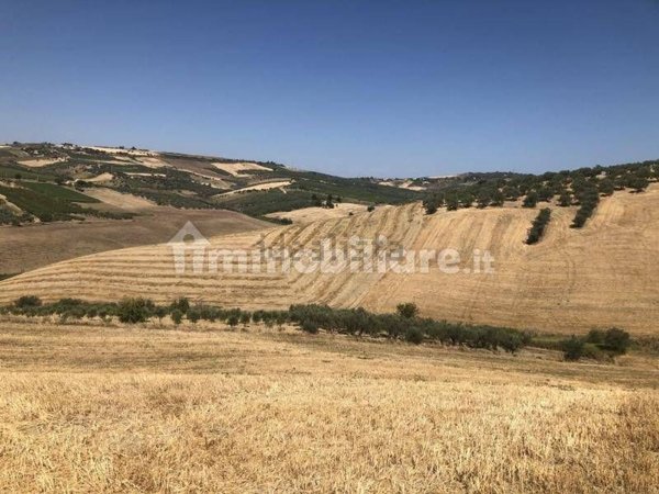 terreno agricolo in vendita a Vasto in zona Montevecchio