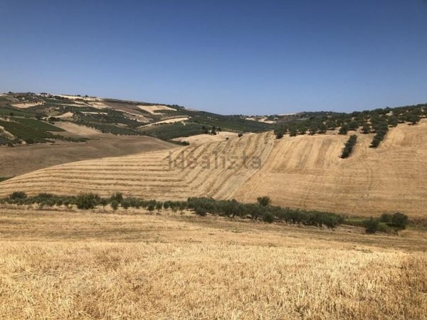 terreno agricolo in vendita a Vasto in zona Montevecchio