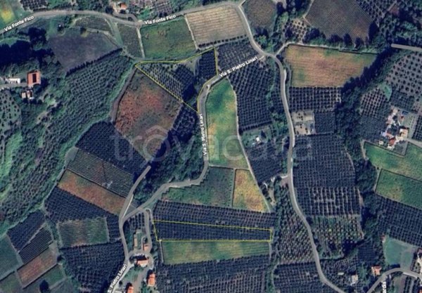 terreno agricolo in vendita a Vasto