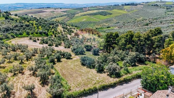 terreno agricolo in vendita a Vasto in zona Montevecchio