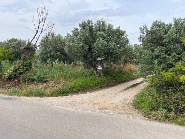 terreno agricolo in vendita a Vasto