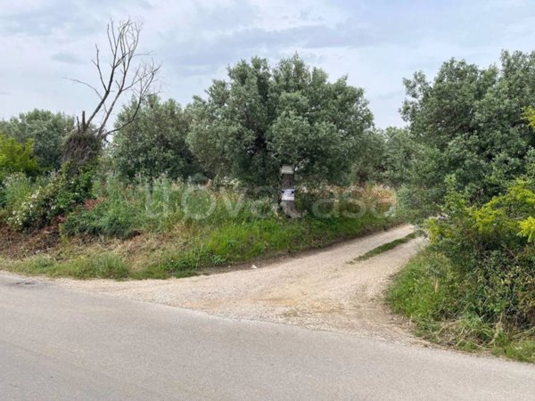 terreno agricolo in vendita a Vasto