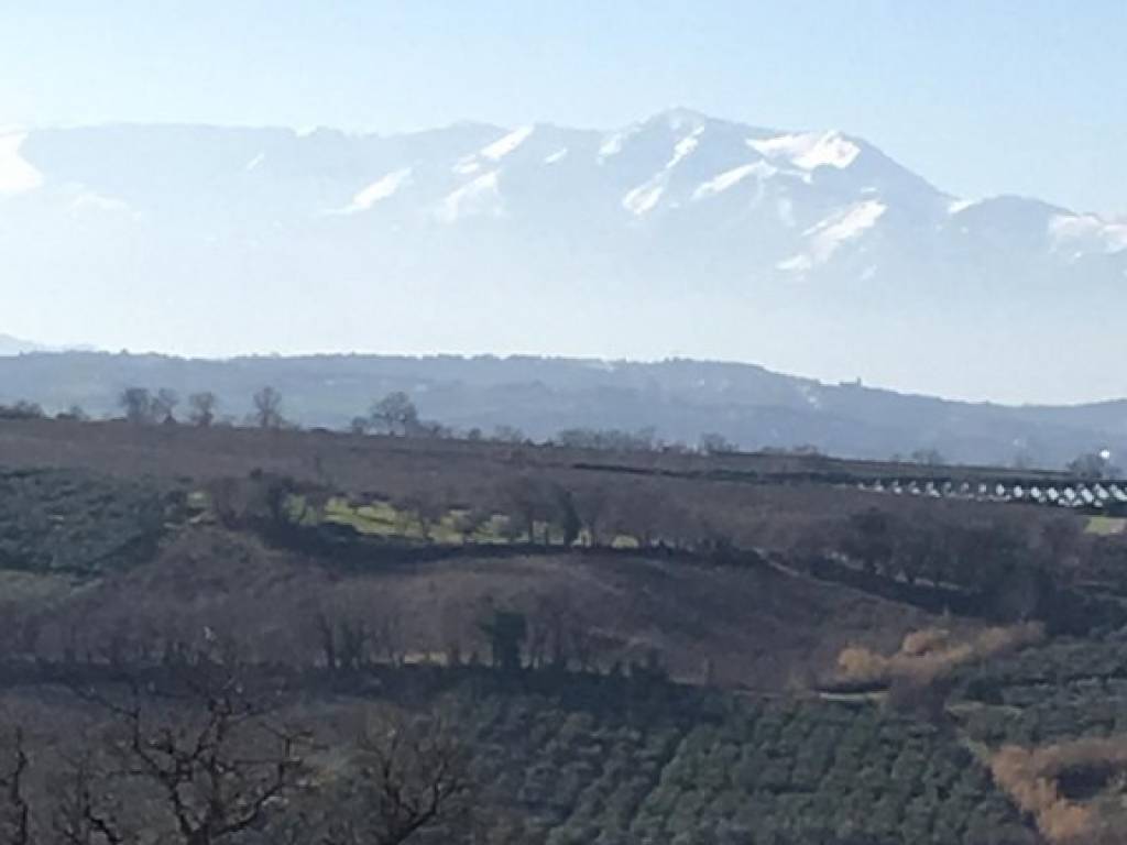terreno agricolo in vendita a Vasto in zona San Lorenzo