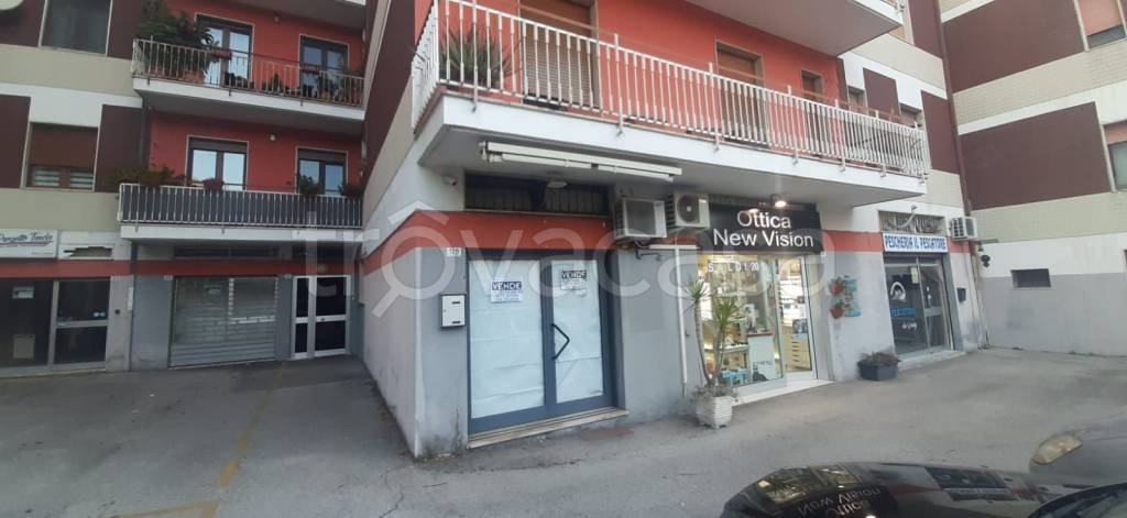 negozio in vendita a Vasto