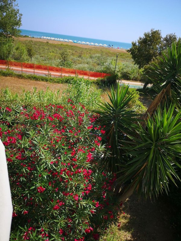 appartamento in vendita a Vasto in zona Marina
