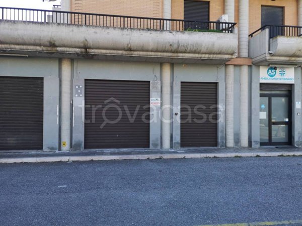 negozio in vendita a Vasto in zona Marina