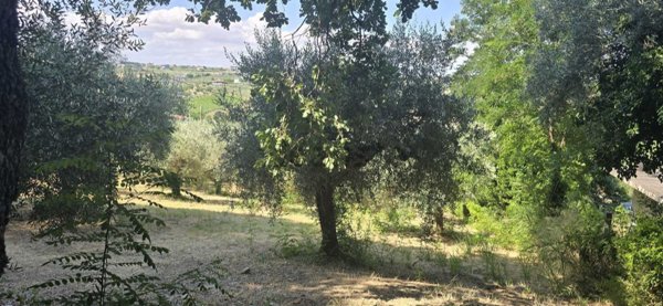 terreno edificabile in vendita a Vasto in zona Incoronata