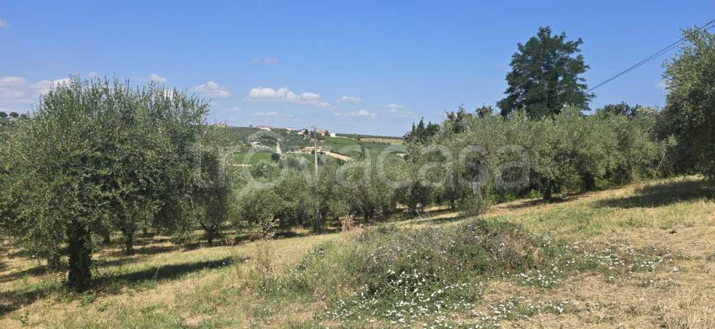 terreno agricolo in vendita a Vasto in zona Incoronata