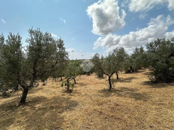 terreno agricolo in vendita a Vasto in zona Marina