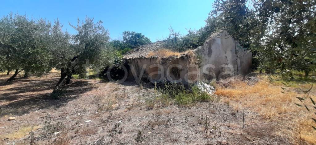 terreno agricolo in vendita a Vasto in zona Difenza