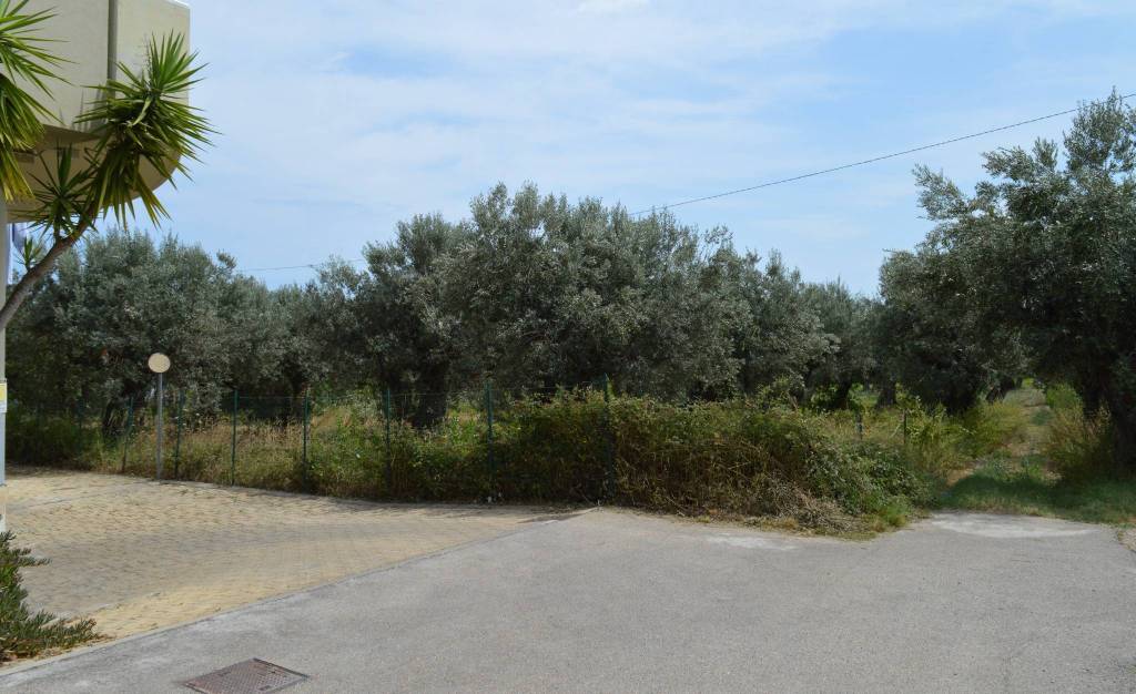 terreno agricolo in vendita a Vasto