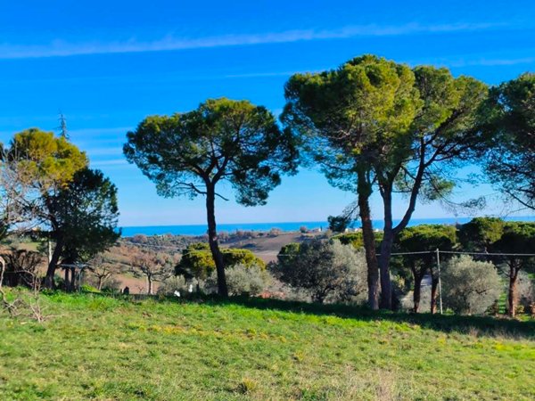 casa indipendente in vendita a Villalfonsina